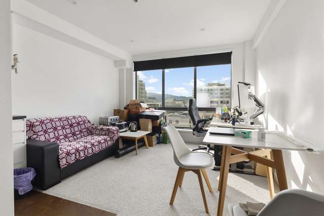 501/4 Elizabeth Street Mount Victoria_3