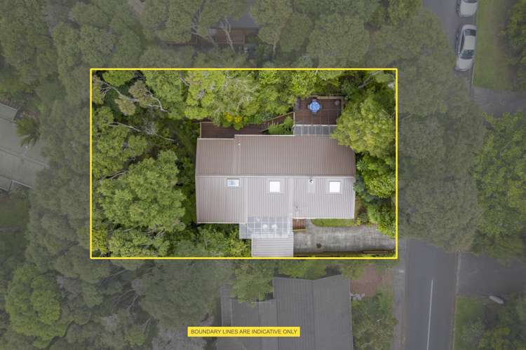 4 Kaurimu Rise Titirangi_24