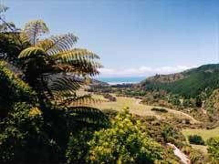 351 Harvey Road Marahau_15