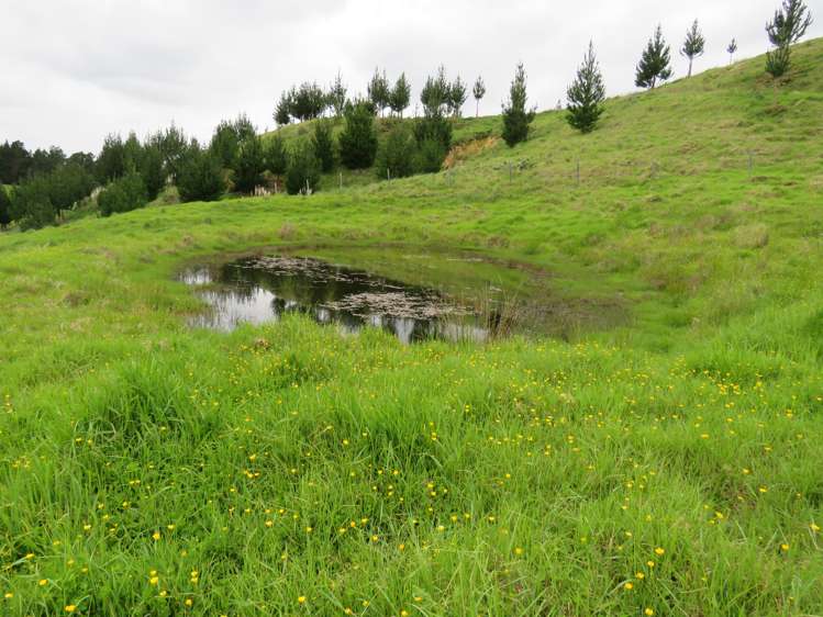 289 Franklin Road Paparoa_6