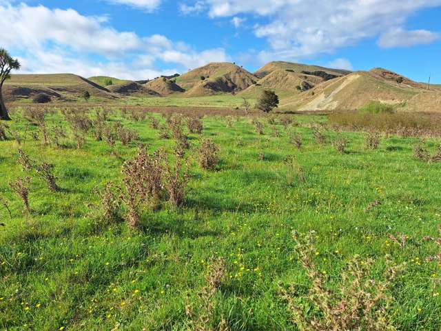 Mangaone Road Pongaroa_3