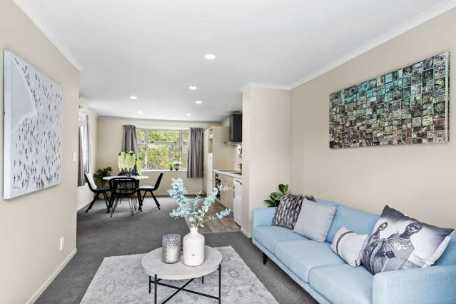 146f Aro Street Aro Valley_3