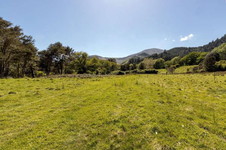 472 Wakamarina Road Canvastown_20