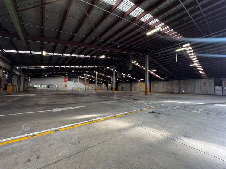 11 McDonald Street Morningside_6