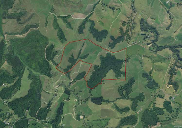 256 McIntyre Road Oromahoe_16