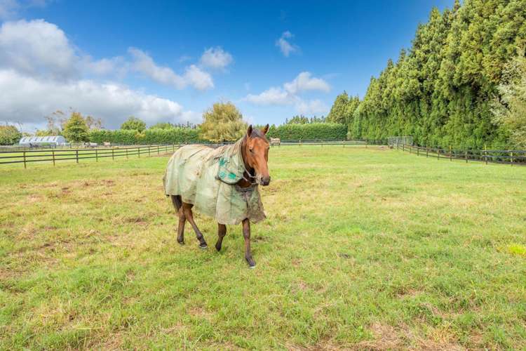 356 Mystery Creek Road Ohaupo_42