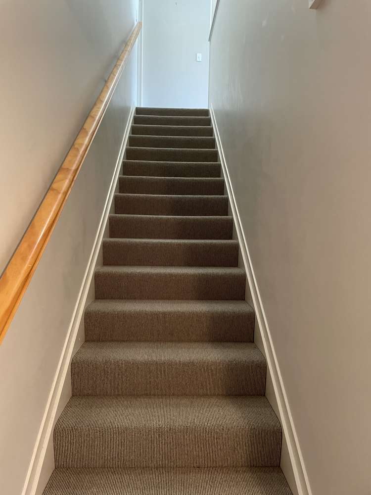 23b Donald Street Regent_13