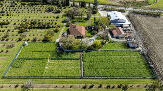 288 Lavenham Road Patutahi_4