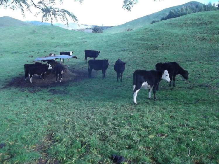 354 Hikumutu Road Taumarunui_28