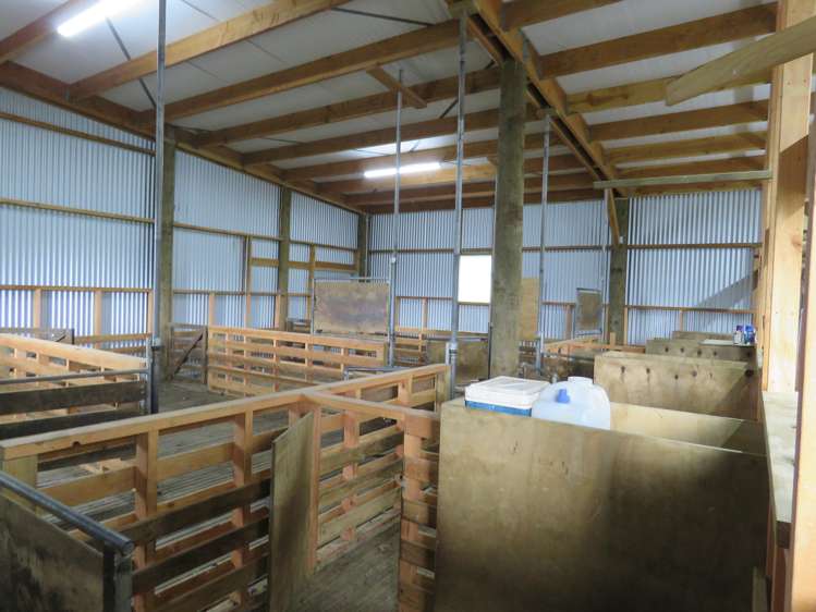 78 Mckinnon Road Middlemarch_11