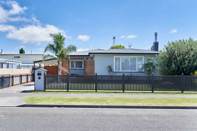 30b Peddie Street Taradale_1