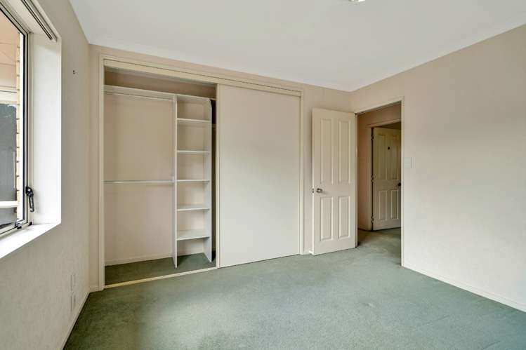 29a Riversdale Road Avondale_8