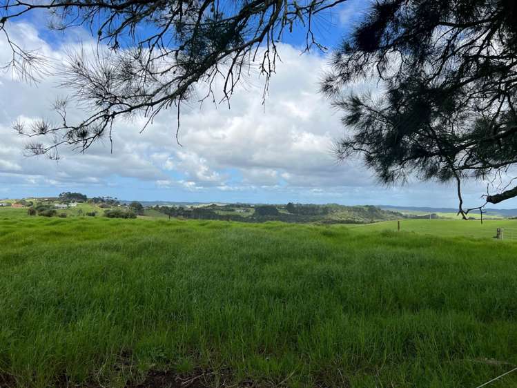 446 Kiwitahi Road Helensville_11