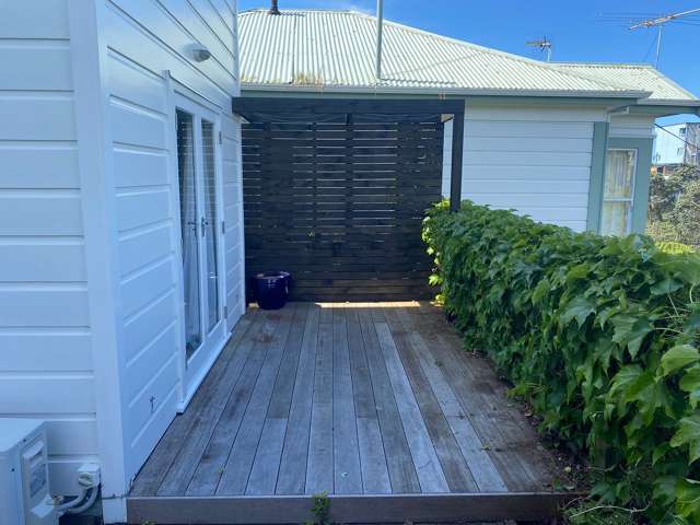 14 Brooklyn Road Aro Valley_2