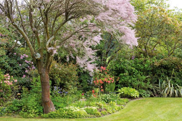 2211 Winchester-Hanging Rock Road Pleasant Point_16