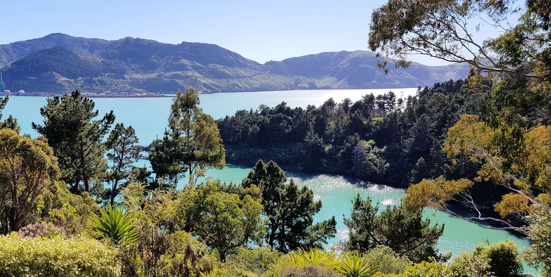 4 Whero Avenue Diamond Harbour_0