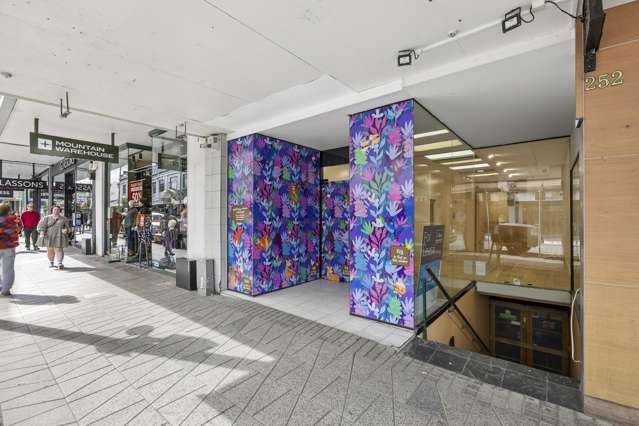 252 George Street Dunedin Central_4
