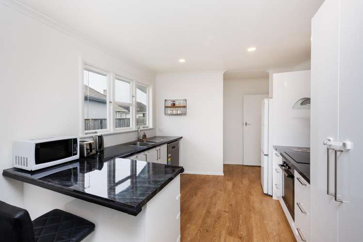 6 Esk Street Roslyn_10