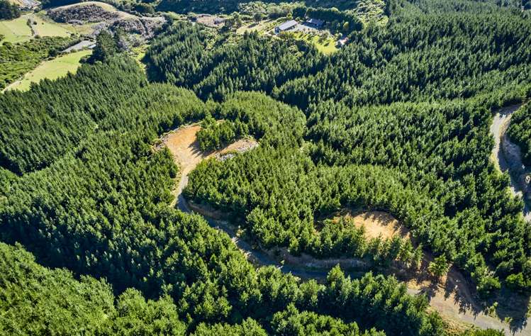 Fernhill Drive Judgeford_9