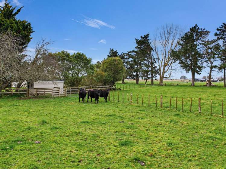 1354 Rangitikei Line Newbury_5
