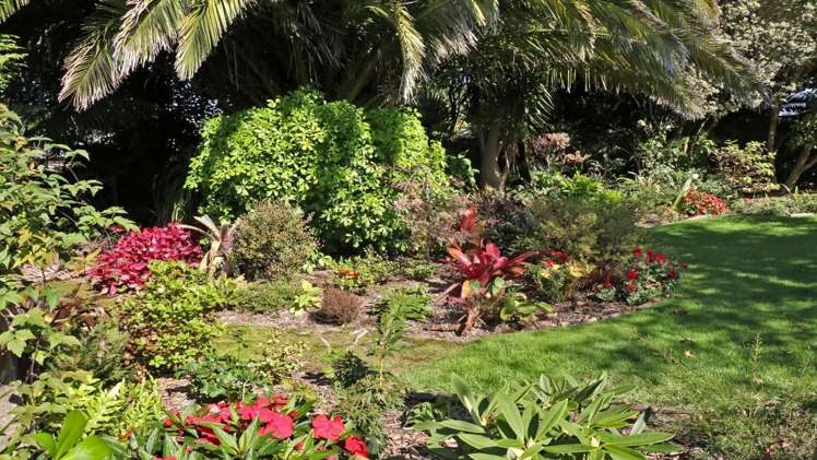 100 Koutunui Road Athenree_4