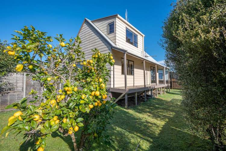 74b Kahikatea Drive Melville_24