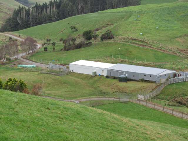 25 Keenan Road Happy Valley_4