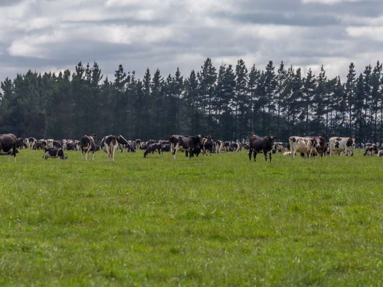 1287 Old South Road Bankside_20