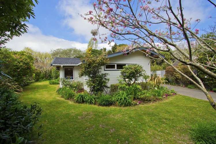 96 Owen Street Belmont_13