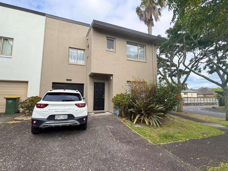 1 Butia Avenue Henderson_19