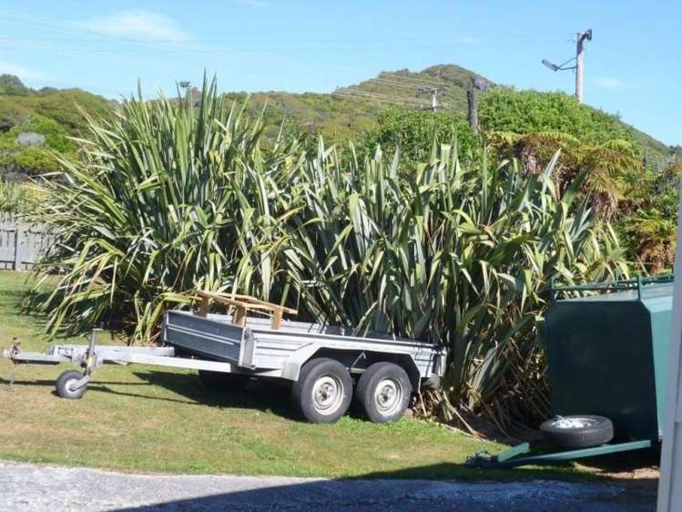 1313 State Highway 6 Nine Mile_16