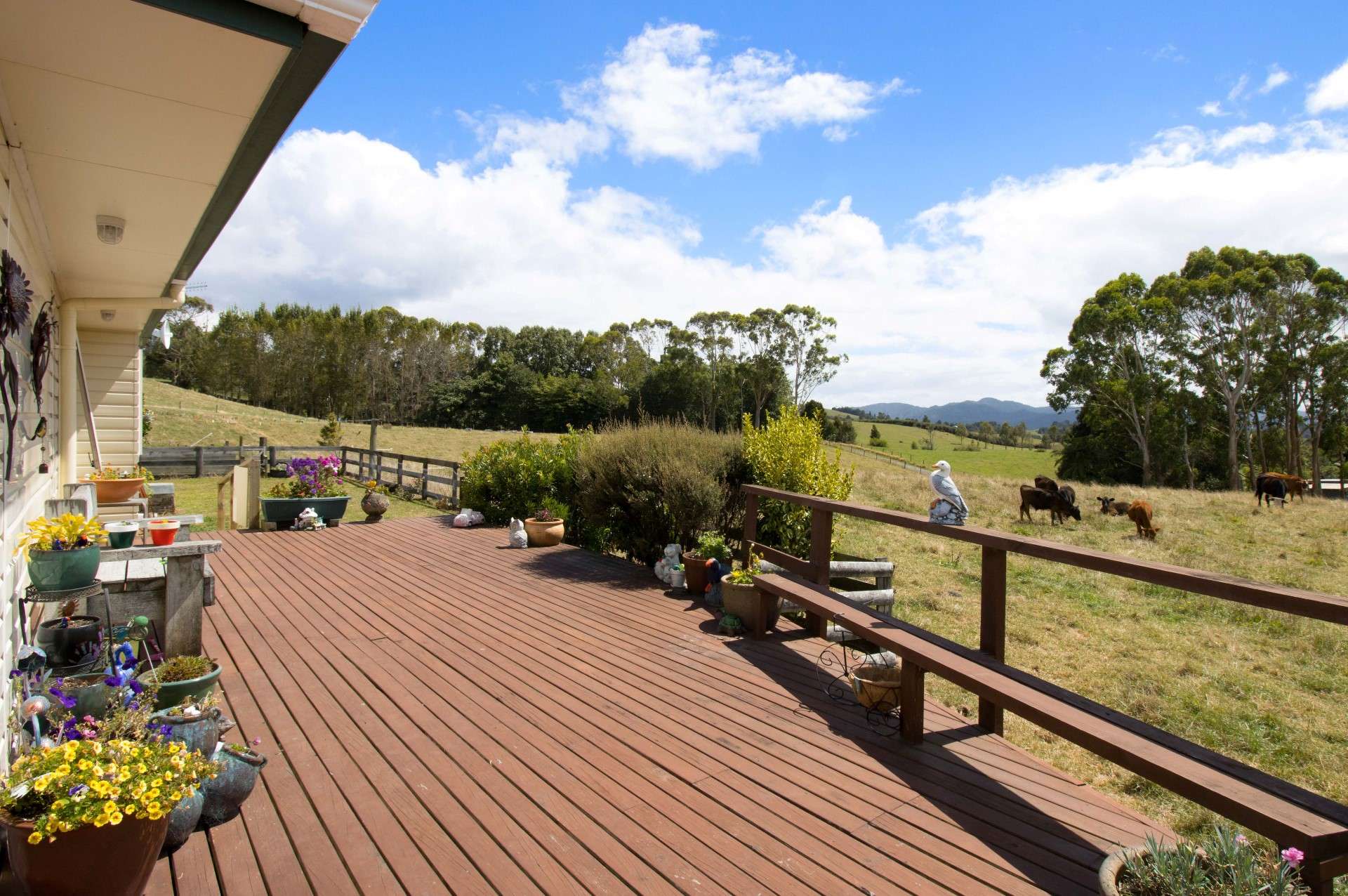 160a Franklin Road Waihi_0