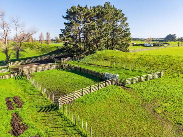Marangai Road Whangaehu_2