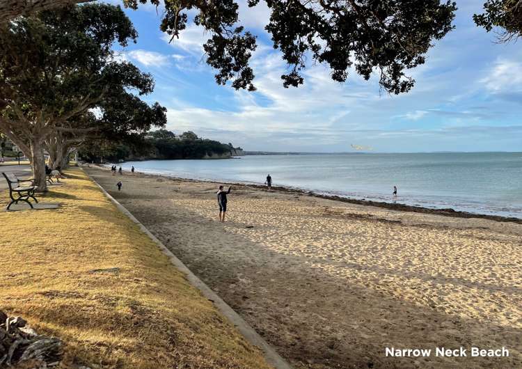 14 Maleme Avenue Belmont_36