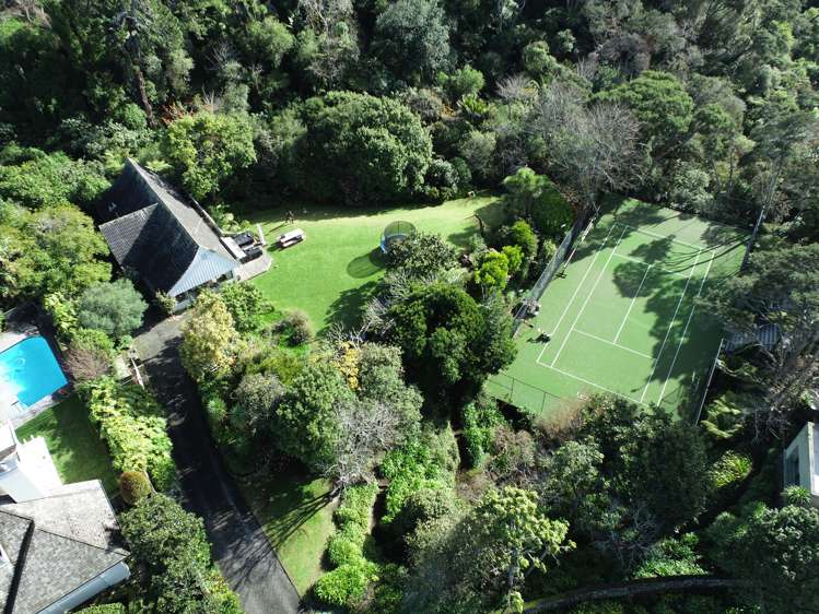 25 Glen Atkinson Street Saint Heliers_18