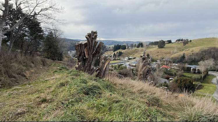 5-7 Rea Street Lawrence_2