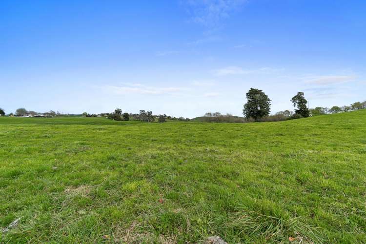 230 Scott Road Morrinsville_14