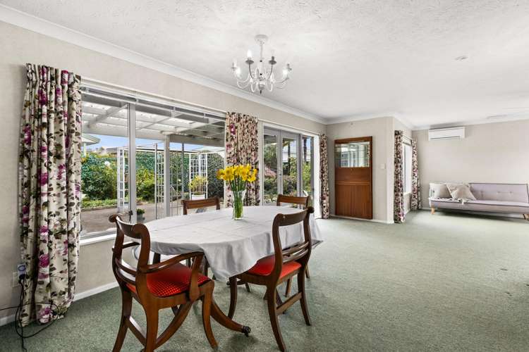 26a White Street Taradale_5