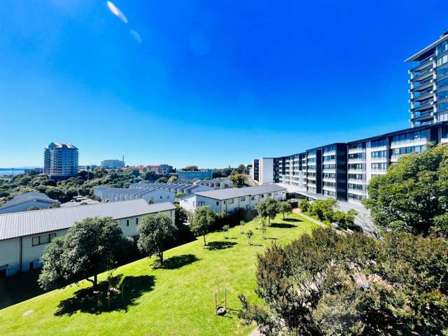 2p/160 Symonds Street Eden Terrace_3