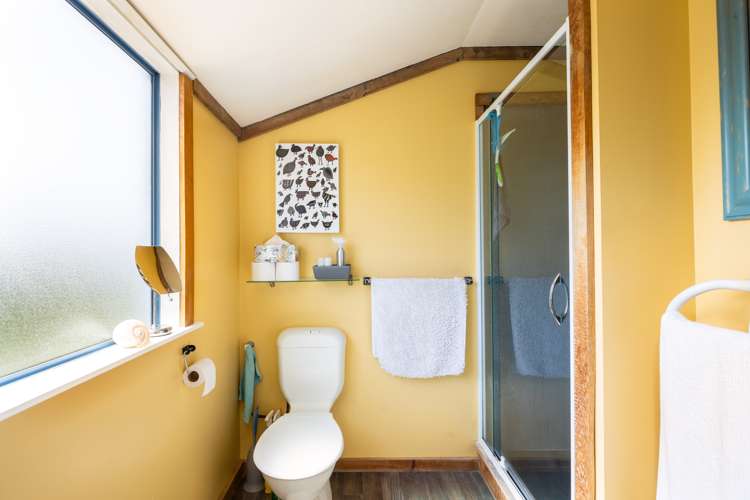 233a Omata Road Spotswood_20