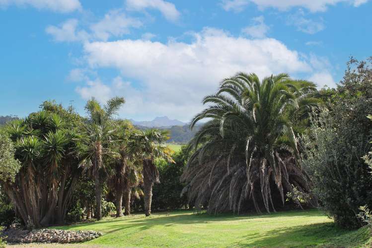 408 Taiharuru Road Taiharuru_23