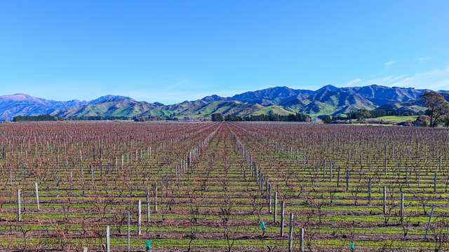 592 Awatere Valley Road Awatere Valley_1