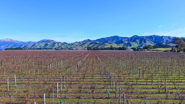 592 Awatere Valley Road Awatere Valley_1