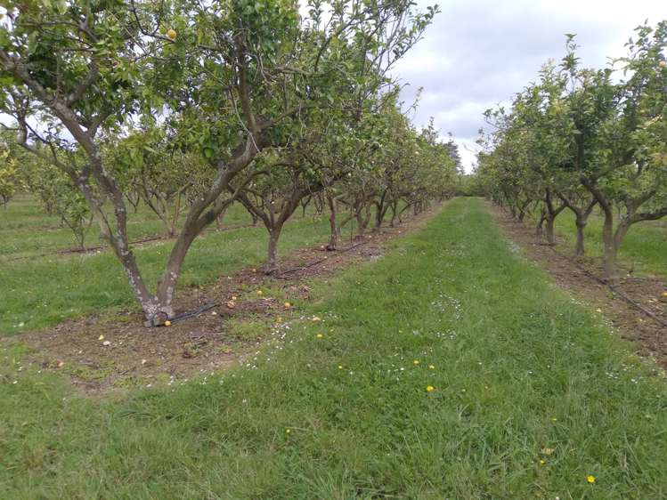 344 Drury Hills Road Drury_4