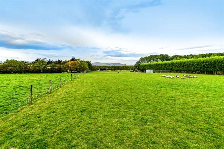 307 Tancreds Road Lincoln_30