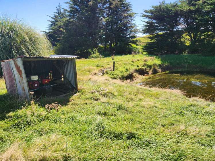 319 Ohautira Road Raglan_21