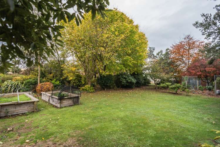 Meehan Place Makikihi_8