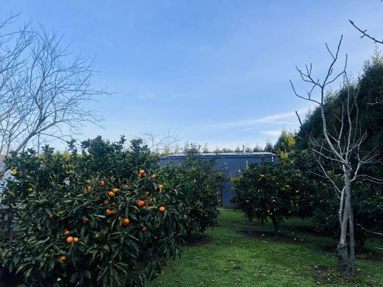 1216 Egmont Road Egmont Village_7