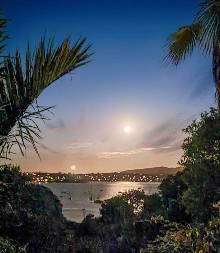 938 Whangarei Heads Road Parua Bay_22