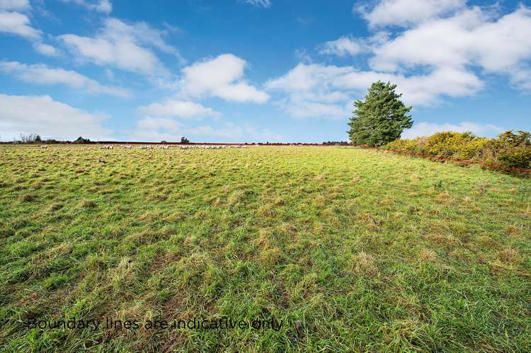 Essendon Road Darfield_5